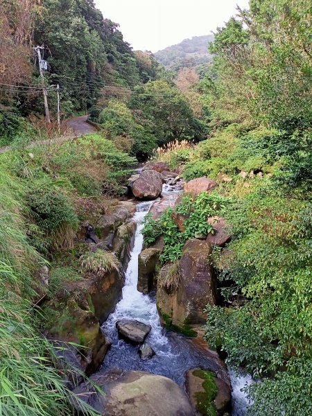 【南山神壽任務尋寶趣】流水潺潺的坪頂古圳親山步道→清風亭→大崎頭步道1591333