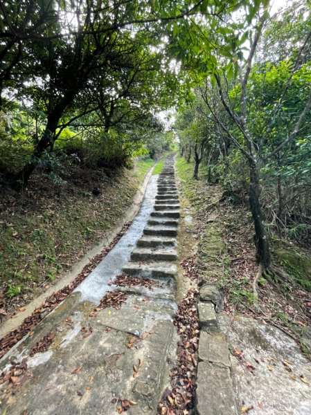 新北｜瑞芳．牡丹 淡蘭古道北路 燦光寮古徑段（TK1-1~1-7）1501372