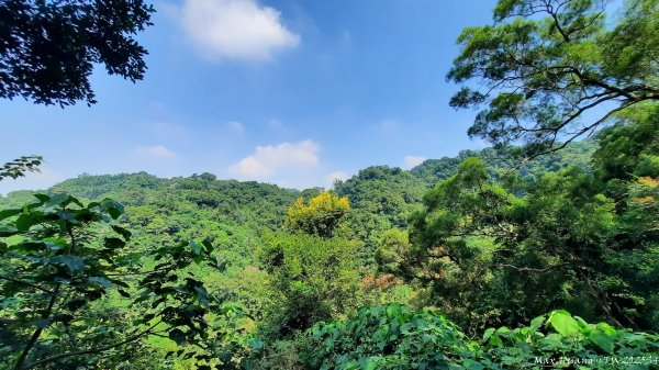 《台中》郊山飆汗｜潭子新田登山步道上聚興山O繞202510042904455