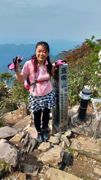 鳶嘴山 2019/05/05580971
