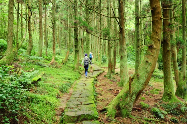 【公告】請拒絕參加古道山徑越野賽，共同維護山林生態