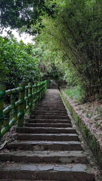 飛鳳山步道3118553