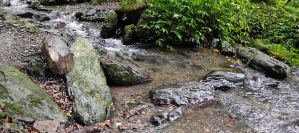 聖母登山步道2599815