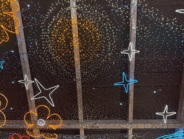 [茂名馬之行-14] 2026_0119 市民廣場2997071