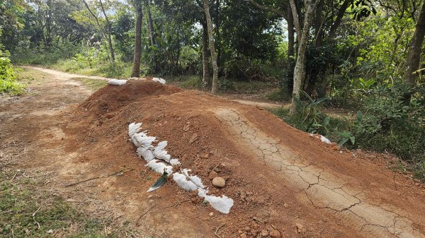 20251218犁頭山-吧哩國山主東峰-石頭坑山西南峰-石頭坑山2967016