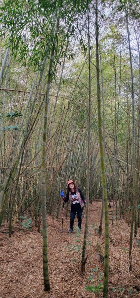 2025-01-19孝子路步道、大巃頂2694254