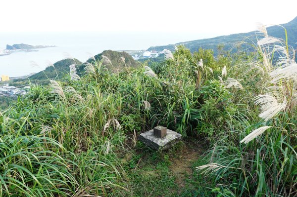 新北 瑞芳 龍潭山、瑞芳山、秀崎山、碧峰岩、白象山2661536