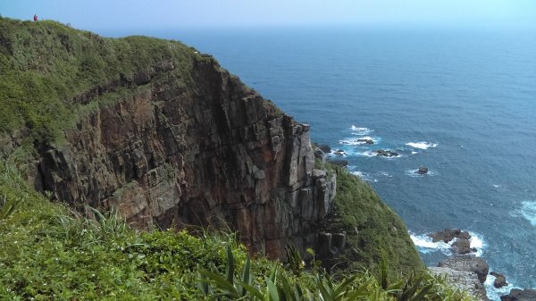 【東北角生態步道尋寶石】 龍洞灣岬步道965570