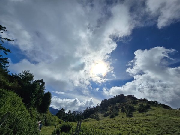 志佳陽大山（回程走高繞環山獵人登山步道）2542193