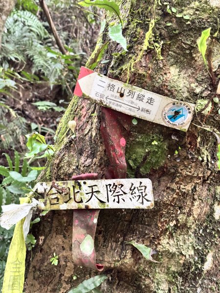 二格山、南邦寮山2941693