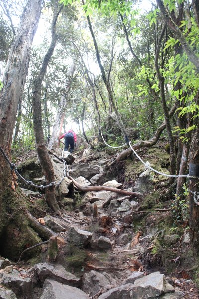 20210410台中鳶嘴山稍來山縱走1348479