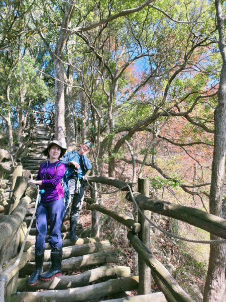 1110116 大坑四，五，三之一號步道O型一圈1584047