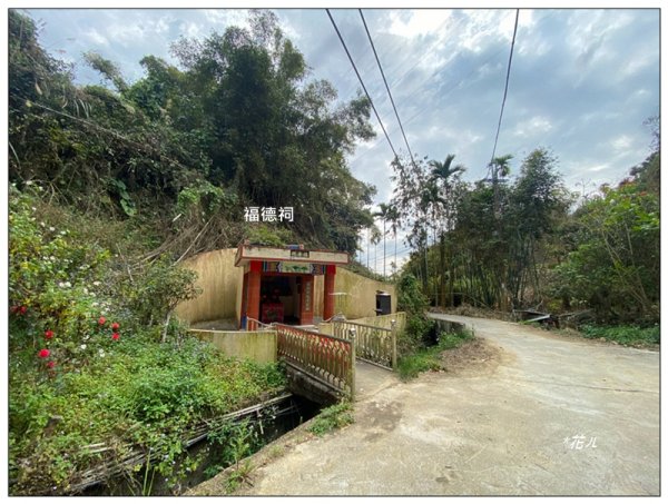 大堀底山 (穿霧隘勇線)3023654