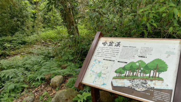 20180707漫步福山植物園380570