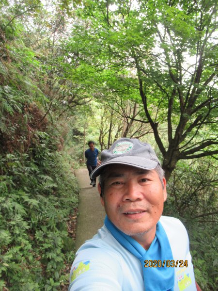 紅淡山步道907483