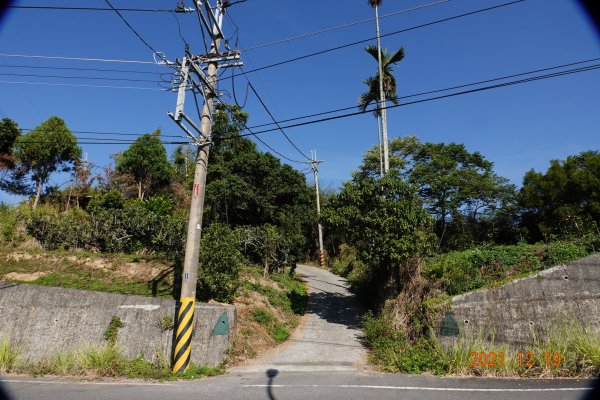 臺中 東勢 東勢山1555385