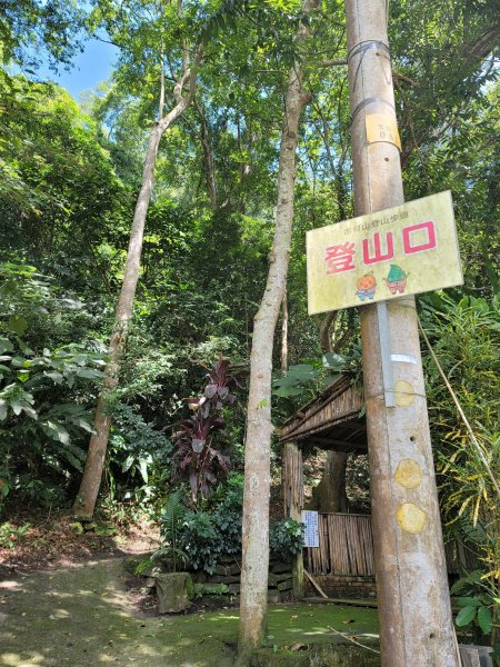 關西赤柯山,東獅頭山步道2281818