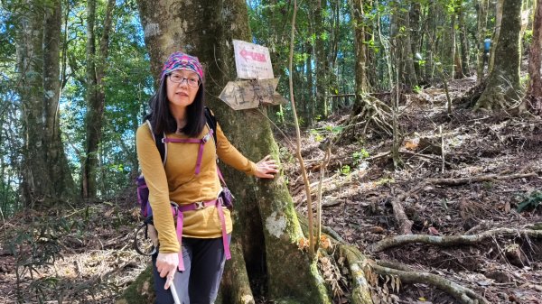 肥大醜三崠連走，鳶嘴西陵上鳶嘴山2650339