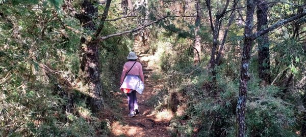 20250114東埔山；20250115二延平步道2693816