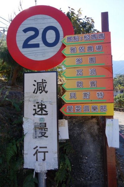 110.12.12馬崙山（海拔2305m）1551468