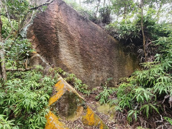 內湖金面山，論劍山，鶯歌蛋山，忠義山，長壽步道，桃園虎頭山公園1681885