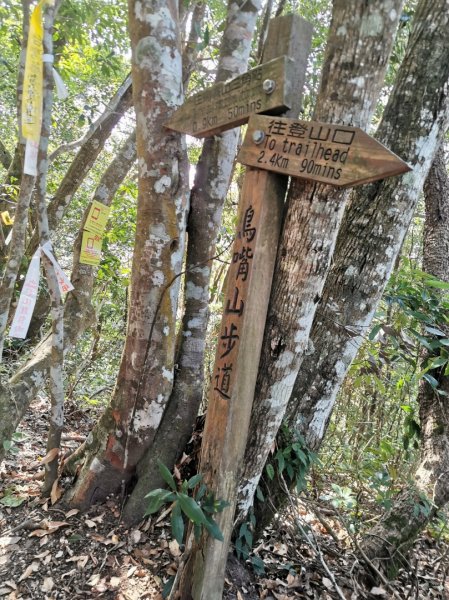 步道巡訪員│鳥嘴山步道 2 月巡訪日誌820152