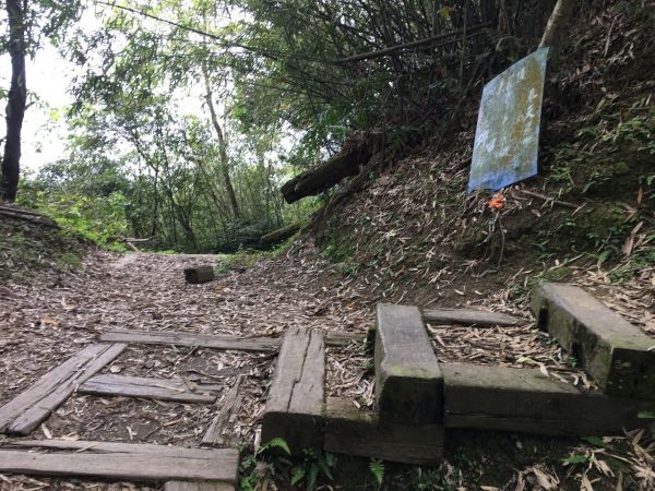 獨立山-大籠頂步道284929