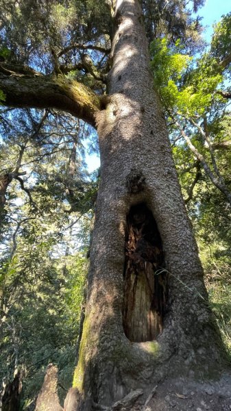 北ㄧ段-審馬陣-南湖北山-南湖北峰-南湖大山-南湖東峰2859110