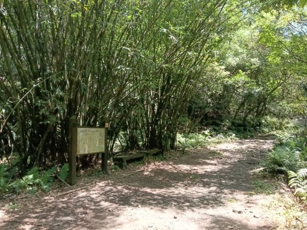 雙溪區淡蘭山徑-燦光寮古道+貂山古道O型2774858