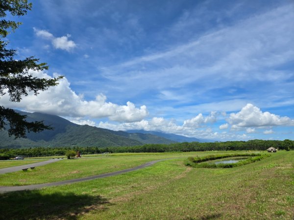 大農大富平地森林園區封面