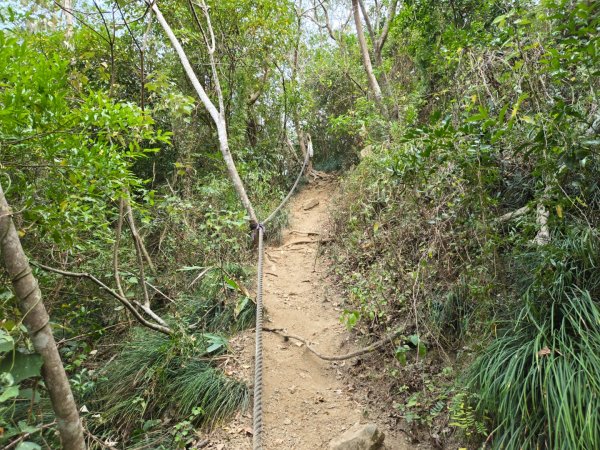 女仍山（小百岳）2752495