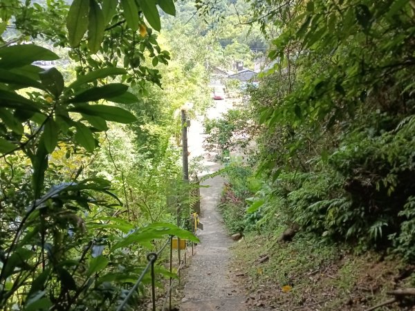 平溪區大華步道+幼坑古道+幼坑崙(大華車站-三貂嶺車站)2925278
