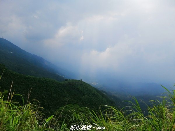 【雲嘉】超美的茶園竹林風光。小百岳集起來。#56小百岳雲嘉大尖山x二尖山x馬鞍山x#57小百岳梨子腳1453705