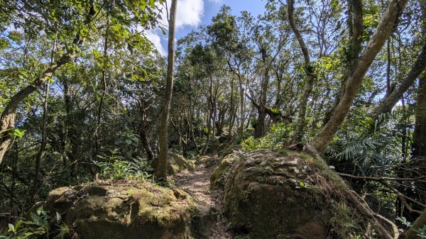 114.12.07筆架連峰之旅2957046