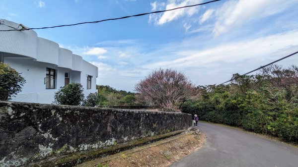 天元宮,楓樹湖,北新庄,淡水老街2430297