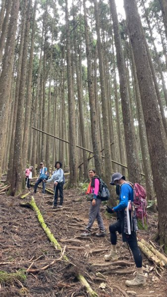 面托油山 清泉山2612997