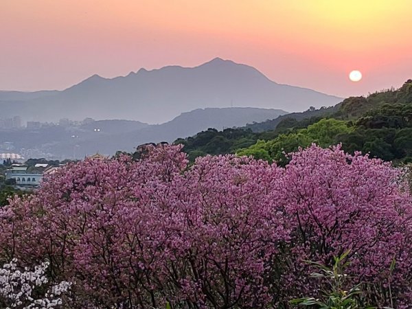 【台北北投】走十八份水圳步道 賞觀音山夕照1743544