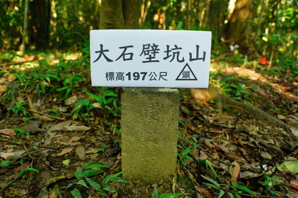 新北-宜蘭 大石壁坑山、五酒桶山、龍崗山、灣坑頭山3090335