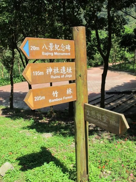 1010325八仙山森林遊樂區3098061