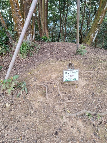 樟之細路RSA45(協雲宮至沖庫山來回)+和興山202501312702857