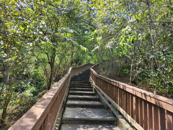 [百山百鳥尋旅-06/15] 2025_0830 貓囒山步道2875711