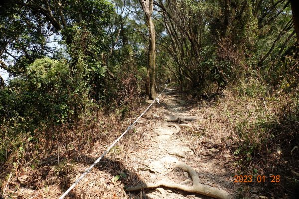 屏東 三地鄉 三地山、三地山南峰2020500