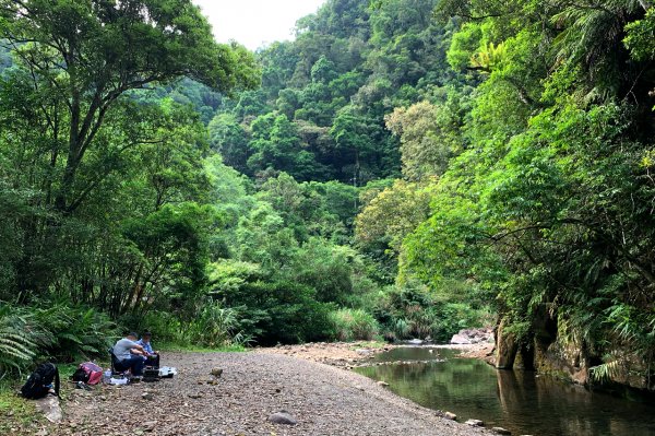 新北坪林｜金瓜寮魚蕨步道｜夏日親水野溪小徑1574138