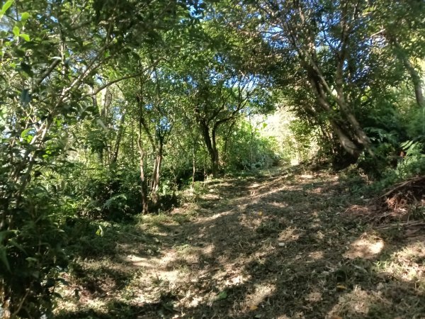 雙溪區豹子廚越嶺保甲路2877007