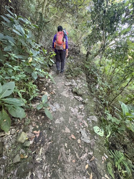 20251123三腳南山登山步道2944444