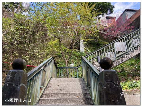 茶園坪山 O型路線2750557