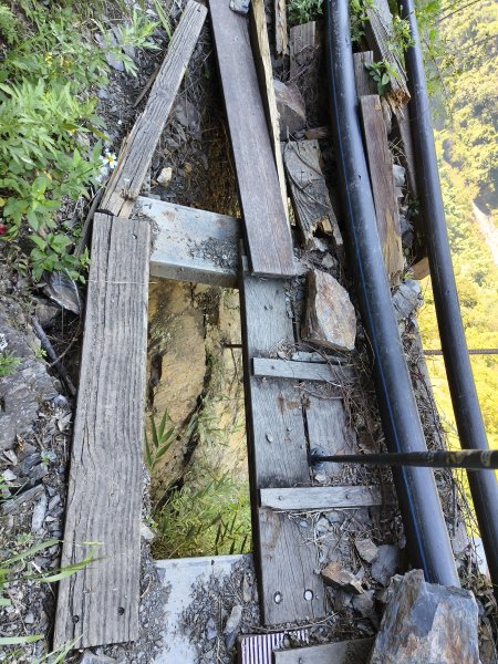 [玉山尋寶任務-07/12] 2025_0824 八通關雲龍瀑布步道2870589