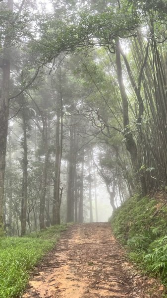 🌈7/20(日)梗枋古道接坪溪古道下石空古道✨FB：熊熊趴爬走🌈2842239