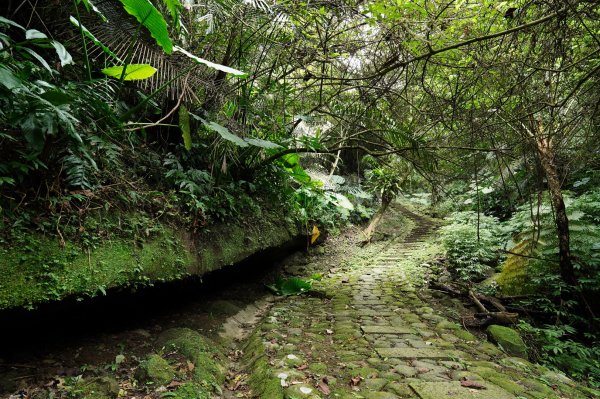 新竹 峨嵋 獅頭山、獅尾山、六寮山、猿山2450131