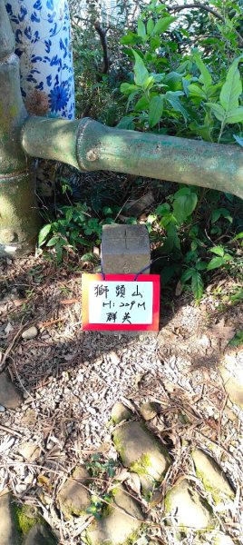 新店獅頭山(小獅山)步道2694755